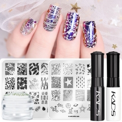 Nail Art Beginner Stamping Kit