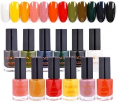 12 Bottles Oil Jelly Nail Polish Nail Polish Kit