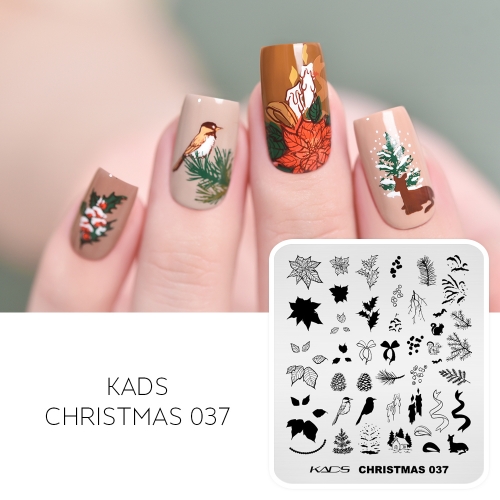 Christmas 037 Nail Stamping Plate Poinsettia &Pine & Birds & Squirrel & Cottage & Candle