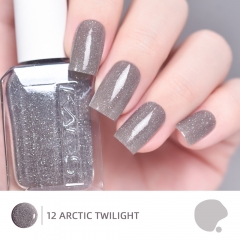 Arctic Twilight Nail Polish Reflective Glitters