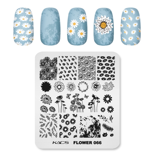 Flower 066 Nail Stamping Plate Daisy & Sunflower