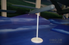 Rainbow CH-901 Suicide Drone（CH-901 loitering munition）