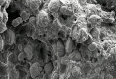 Composite Propellant