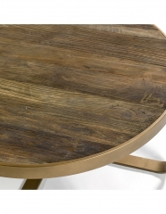 GOLDEN CENTER TABLE AND ELM