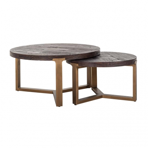 Coffee table set of 2 (Brushed Gold)