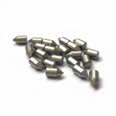 Tungsten Carbide Bush Hammer Pin Tips for Lichi Bu...