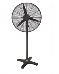 Stand Fan