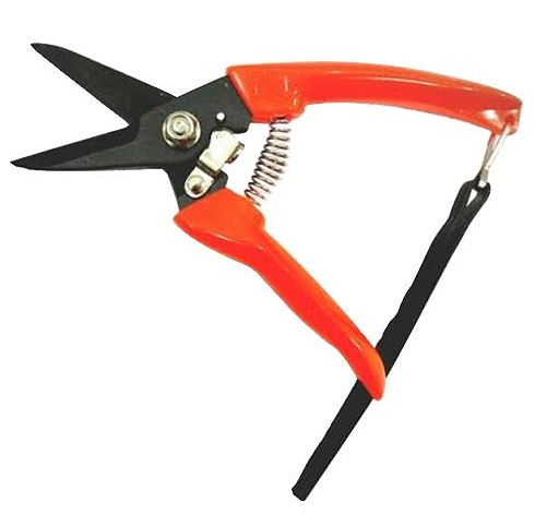 Pruning Shear Straight