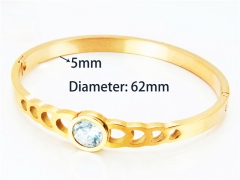HY Wholesale Popular Bangle of Stainless Steel 316L-HY93B0357HLZ