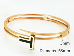 HY Jewelry Wholesale Popular Bangle of Stainless Steel 316L-HY93B0132HNR
