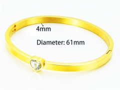 HY Wholesale Popular Bangle of Stainless Steel 316L-HY93B0263HJB