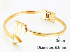 Popular Bangle of Stainless Steel 316L-HY93B0123HNT