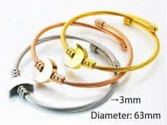 HY Wholesale Jewelry Popular Bangle of Stainless Steel 316L-HY58B0283IHZ