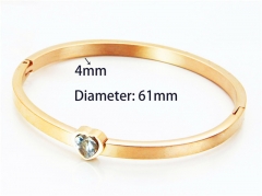 HY Wholesale Popular Bangle of Stainless Steel 316L-HY93B0264HKC