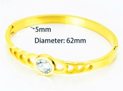 HY Wholesale Popular Bangle of Stainless Steel 316L-HY93B0356HKX