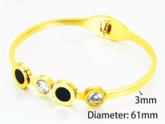 HY Wholesale Popular Bangle of Stainless Steel 316L-HY93B0215HNX