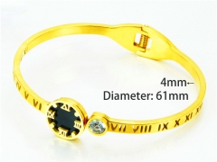 HY Wholesale Popular Bangle of Stainless Steel 316L-HY93B0239HMS