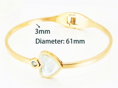 Popular Bangle of Stainless Steel 316L-HY93B0080HMW