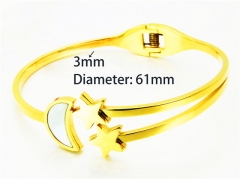 Popular Bangle of Stainless Steel 316L-HY93B0070HMZ