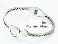 Popular Bangle of Stainless Steel 316L-HY93B0163HJF