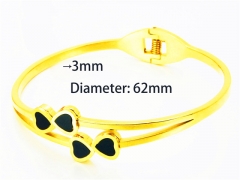 Popular Bangle of Stainless Steel 316L-HY93B0067HMB