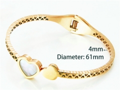 Popular Bangle of Stainless Steel 316L-HY93B0165HNZ