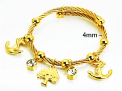 HY Jewelry Wholesale Bangle (Steel Wirel)-HY07B0117HKR