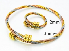 HY Jewelry Wholesale Bangle (Steel Wire)-HY38S0137HLC