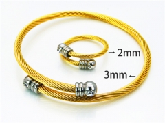 Wholesale Bangle (Steel Wire)-HY38S0157HIT