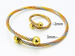 HY Jewelry Wholesale Bangle (Steel Wire)-HY38S0176HLD