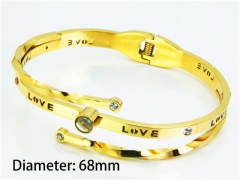 Wholesale Bangle (Popular)-HY80B0753ICC