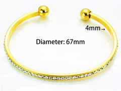 HY Wholesale Stainless Steel 316L Bangle (Natural Crystal)-HY58B0162MR