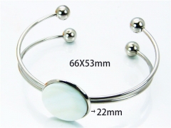HY Jewelry Wholesale Stainless Steel 316L Bangle (PDA Style)-HY81B0135HHR