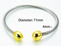 HY Jewelry Wholesale Stainless Steel 316L Bangle (Steel Wire)-HY58B0190OW