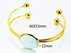 HY Jewelry Wholesale Stainless Steel 316L Bangle (PDA Style)-HY81B0136HJA