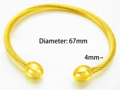 HY Jewelry Wholesale Stainless Steel 316L Bangle (Steel Wire)-HY58B0158PE