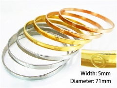 HY Jewelry Wholesale Stainless Steel 316L Bangle (Merger)-HY58B0119HJS