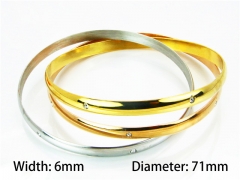 HY Jewelry Wholesale Stainless Steel 316L Bangle (Merger)-HY58B0140PQ