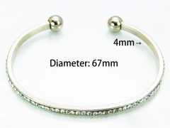 HY Wholesale Stainless Steel 316L Bangle (Natural Crystal)-HY58B0161LR