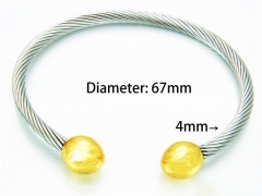 HY Jewelry Wholesale Stainless Steel 316L Bangle (Steel Wire)-HY58B0157OR