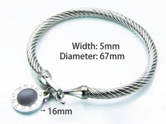 HY Jewelry Wholesale Stainless Steel 316L Bangle (Steel Wire)-HY81B0189HLQ