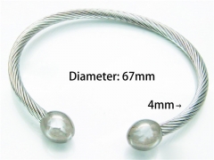 HY Jewelry Wholesale Stainless Steel 316L Bangle (Steel Wire)-HY58B0156NF