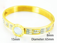 HY Wholesale Stainless Steel 316L Bangle (Natural Crystal)-HY81B0193IHD