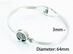 Stainless Steel 316L Bangle (Popular)-HY59B0856HAL