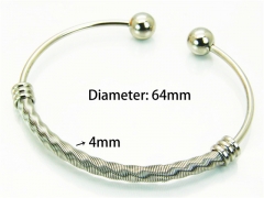 HY Jewelry Wholesale Stainless Steel 316L Bangle (Steel Wire)-HY58B0213LR