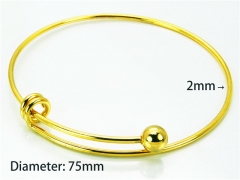 HY Jewelry Wholesale Stainless Steel 316L Bangle (PDA Style))-HY81B0142HHT