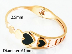 HY Wholesale Bangle (Popular)-HY80B0711HJS