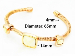 HY Wholesale Bangle (Steel Wire)-HY64B1261HLC