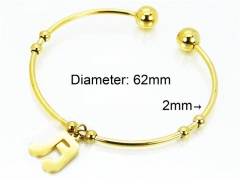 HY Jewelry Wholesale Stainless Steel 316L Bangle (PDA Style)-HY89B0028JLE