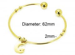 HY Jewelry Wholesale Stainless Steel 316L Bangle (PDA Style)-HY58B0396KW